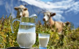 Употребление «молочки» по-разному влияет на здоровье костей