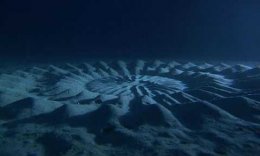 Ученые разгадали тайну странных узоров на дне Восточно-Китайского моря (ФОТО)