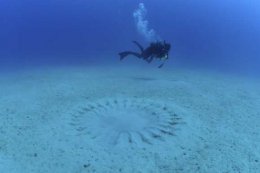 Ученые разгадали тайну странных узоров на дне Восточно-Китайского моря (ФОТО)