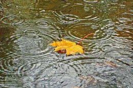 Погода в Украине на вторник, 22 октября