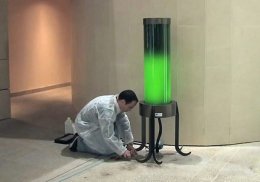 Американские студенты создали «биолампу», которая светит благодаря бактериям