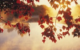 Погода в Украине на выходные, 26 и 27 октября