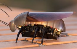 Электронные тараканы помогут в составлении карты местности (ФОТО)