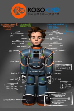 Социальный робот Zeno R25 выражает чувства и распознает речь (ФОТО+ВИДЕО)