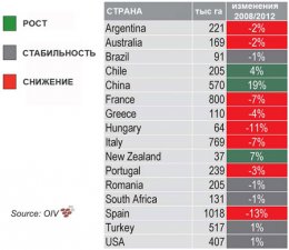 Винный рынок: дефицит данной продукции не за горами (ФОТО)