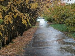 Погода в Украине на среду, 6 ноября