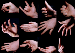 Особенности общения «без слов» (ФОТО)