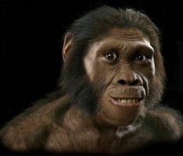 Человек эволюционировал от обезьяны в результате мутации в «гене шизофрении»