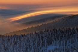 Ученые создали самую подробную карту лесов нашей планеты (ФОТО)