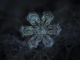Удивительный мир снежинок (ФОТО)
