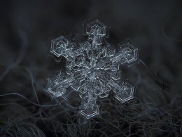 Удивительный мир снежинок (ФОТО)