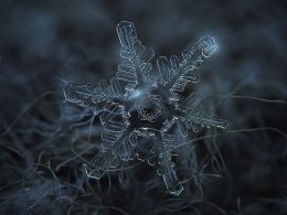 Удивительный мир снежинок (ФОТО)