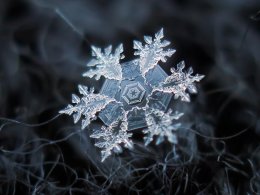 Удивительный мир снежинок (ФОТО)