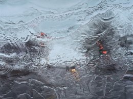 22 ноября в большинстве областей Украины пройдут дожди 22 ноября в большинстве областей Украины пройдут дожди