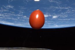 Неопознанный летающий помидор на орбите (ФОТО)