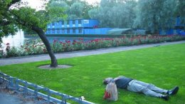 В Амстердаме алкоголикам будут платить за уборку улиц от мусора пятью банками пива