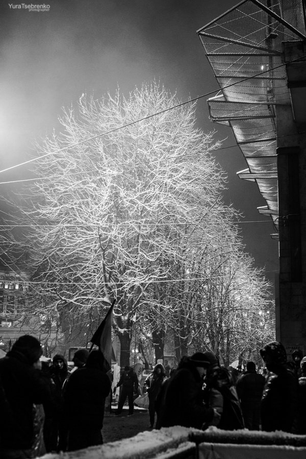 Фотодневник майдана Юрия Цебренко (ФОТО)