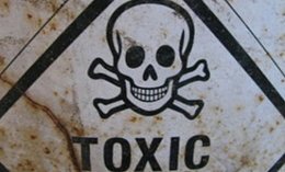 США предлагают свое содействие Сирии в обезвреживании химических веществ