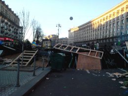 Судьбу главной елки страны решат киевляне