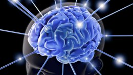 Ученые научились управлять электрической активностью мозга