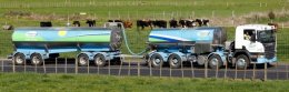 Россия запретила ввоз голландского молока (ВИДЕО)