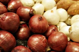 Лук -  первый продукт для людей интеллектуального труда