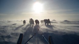 Канада предъявила территориальные претензии на Арктику