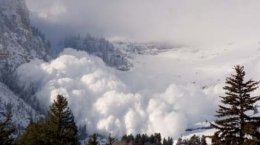 В Закарпатье ожидается сход снежных лавин