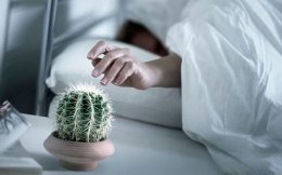 4 способа быстро просыпаться по утрам