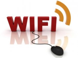 Wi-Fi неблагоприятно влияет на сосуды головного мозга и убивает комнатные цветы