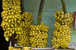 Чем полезны бананы