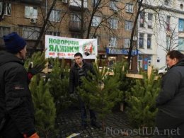 В столице начинается "елочная лихорадка"