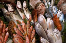 Употребление морской рыбы в значительной степени замедляет старение