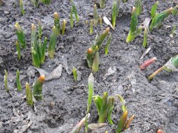 Украине не грозят рождественские морозы