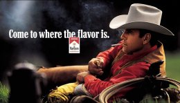 В Америке посчитали, сколько жизней в стране спасла борьба с курением