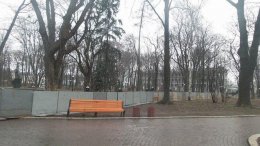 В Мариинском парке собираются "титушки" (ФОТО)