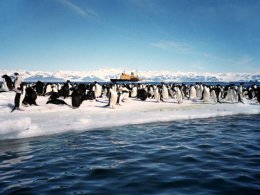 Какие тайны Антарктиды скрывают американские спецслужбы