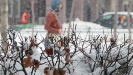 14 января в Украине прекратятся снегопады и установится морозная погода