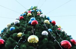 В центре Борисполя рухнула новогодняя елка