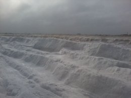 В Норвегии из-за аномальной температуры воздуха мгновенно погибла рыба (ФОТО)