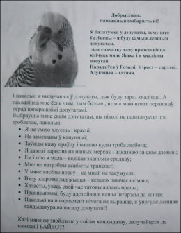 В Беларуси зарегистрировался и снялся кандидат-попугай