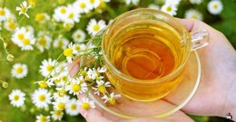 Самая эффективная защита от рака