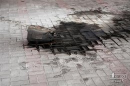 При нападении на горсовет Кривого Рога пострадали милиционеры (ФОТО)