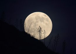 На Луне могут появиться обитаемые базы