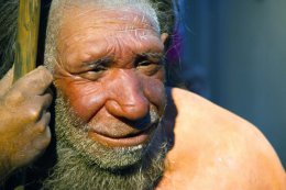 Геном человека содержит около 20% вкраплений неандертальской ДНК