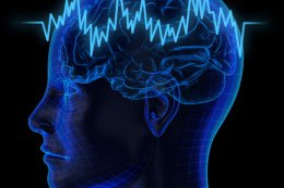 Звуковая карта мозга поможет прочесть мысли (ВИДЕО)