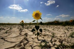 Калифорния страдает от засухи и нехватки воды