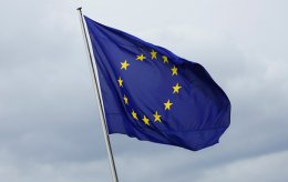 ЕС не настаивает на проведении досрочных президентских выборов в Украине