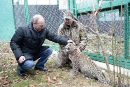 Путин побывал в клетке с леопардом (ВИДЕО)