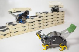«Роботы-термиты» смогут без чертежей построить дом (ВИДЕО)